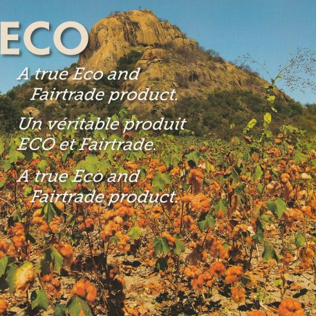 ALL NATURE Basic L Cotone biologico nei suoi colori naturali originali - immagine 2
